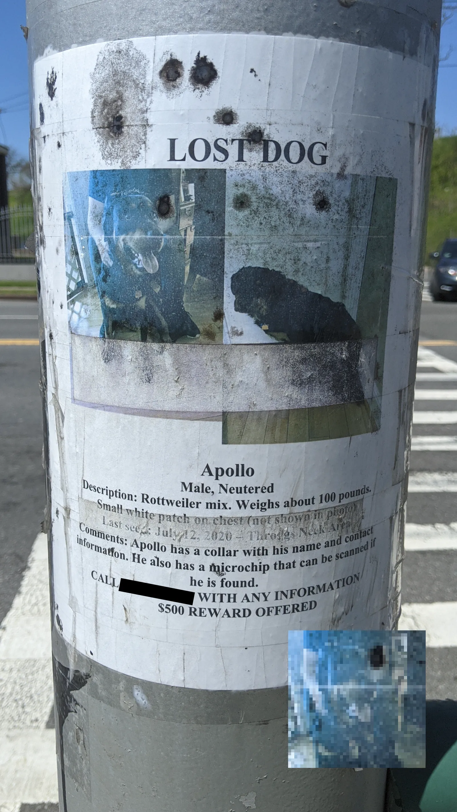 Apollo