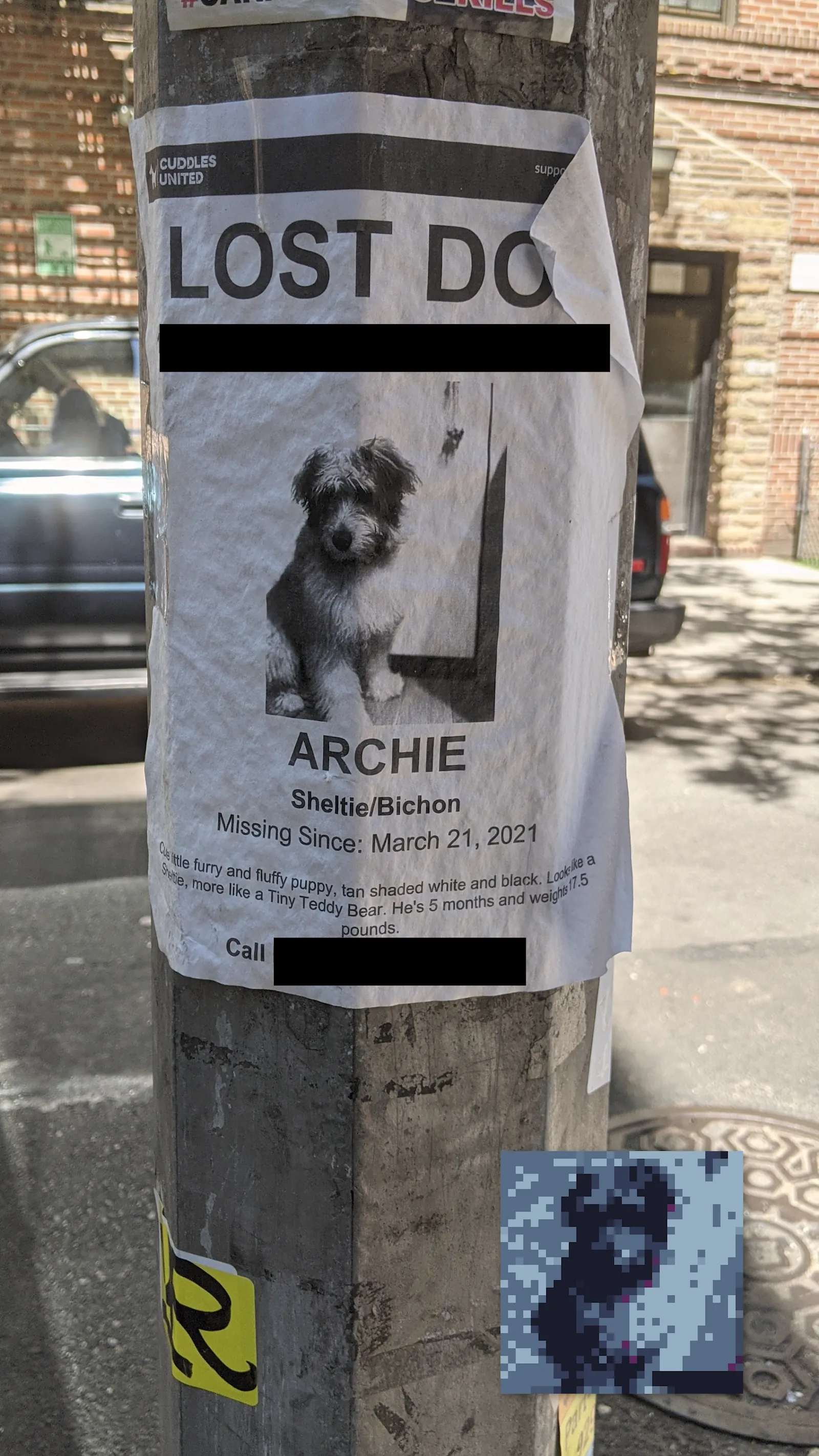 Archie