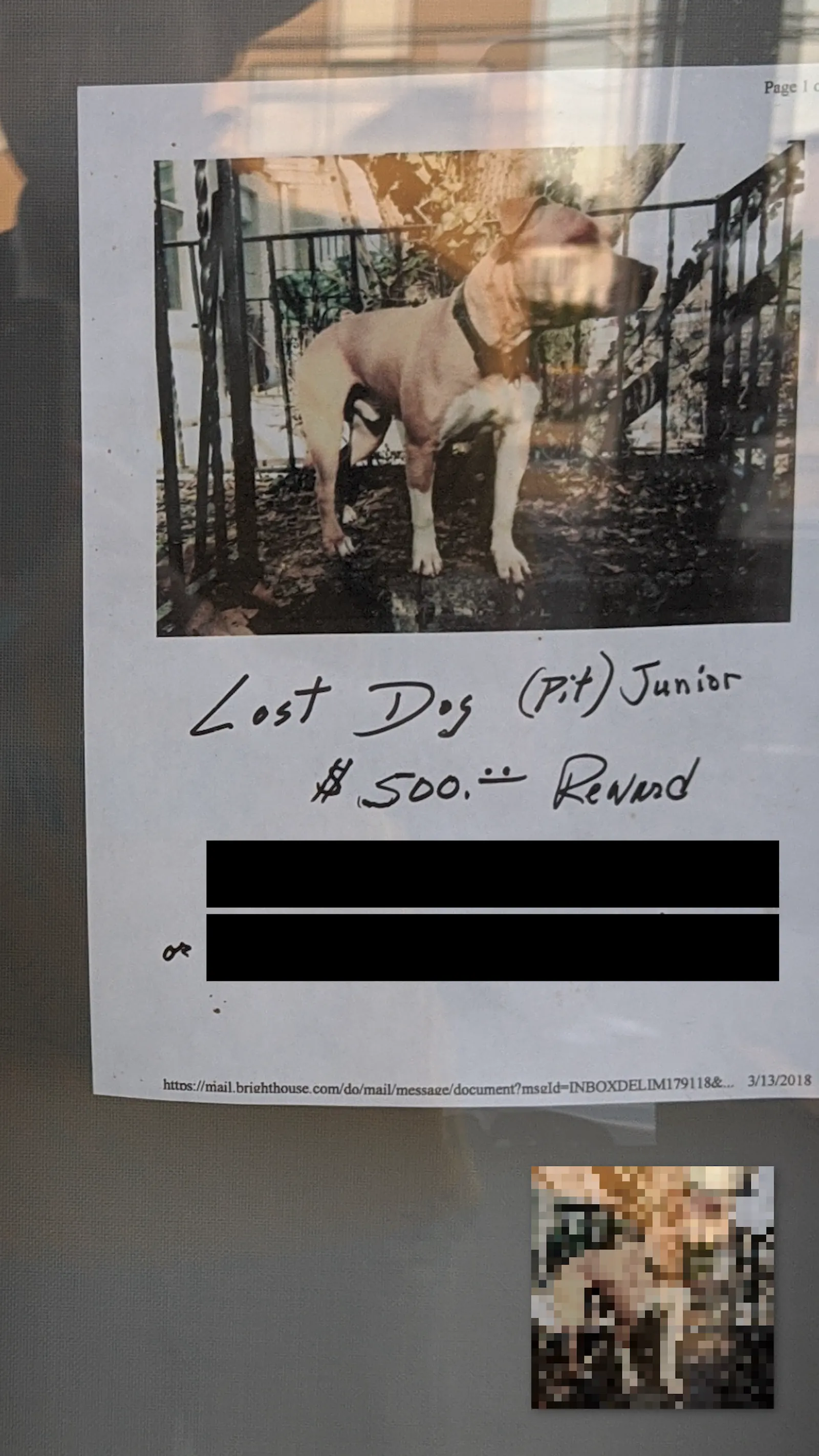 Junior