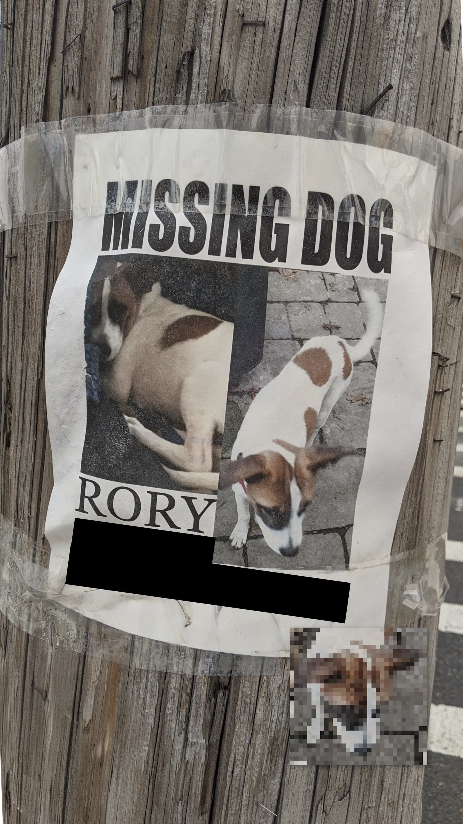 Rory