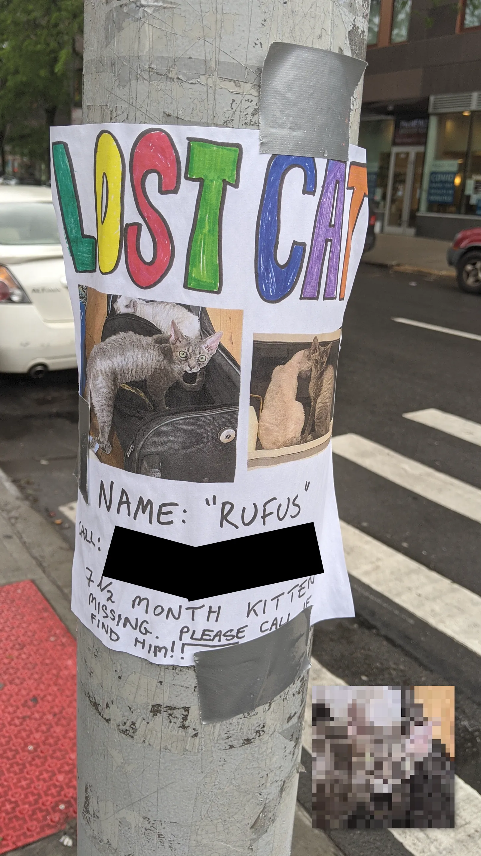 Rufus