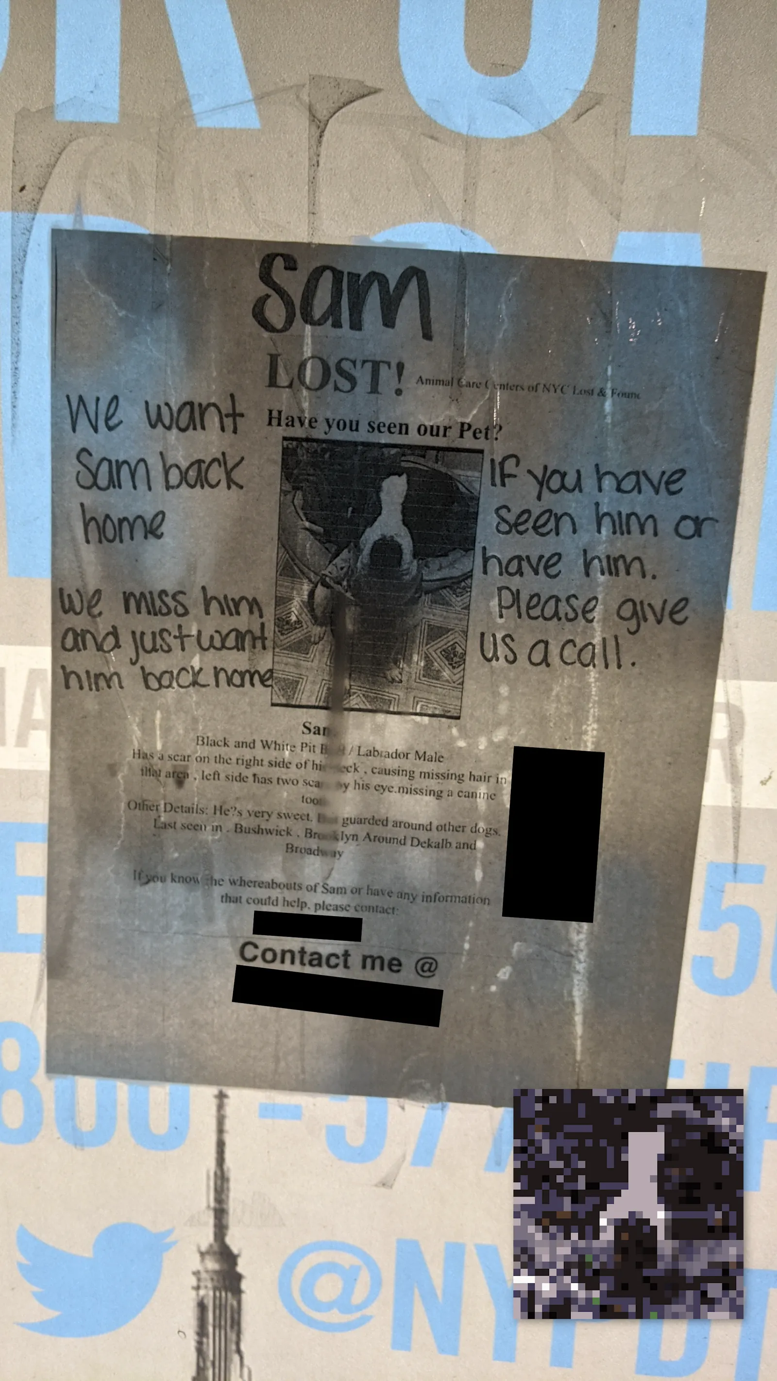 Sam