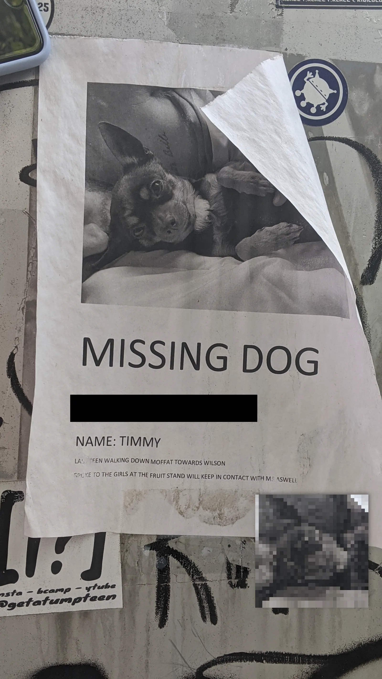 Timmy
