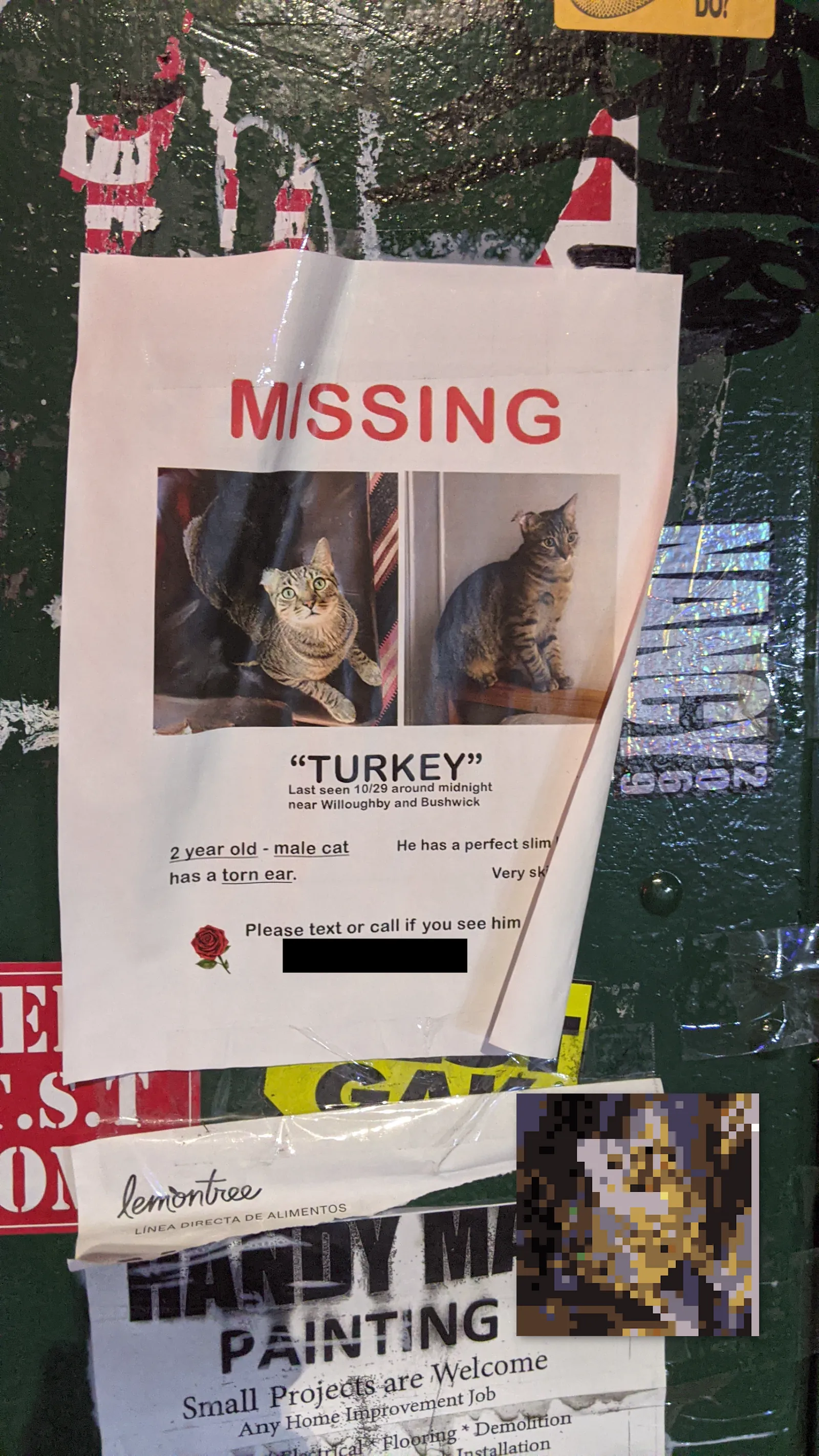Turkey
