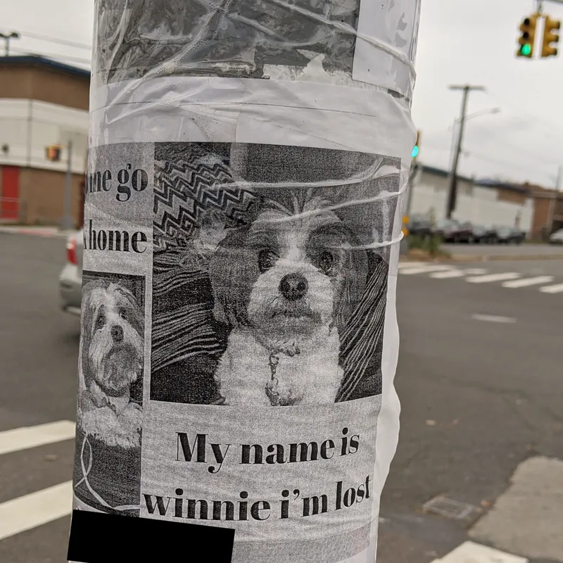winnie